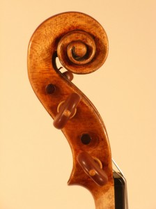 Schnecke der Stradivari